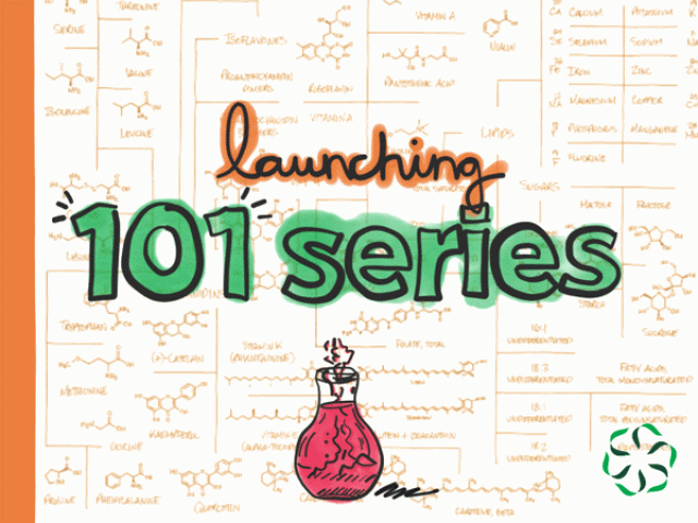 Launching 101 Series