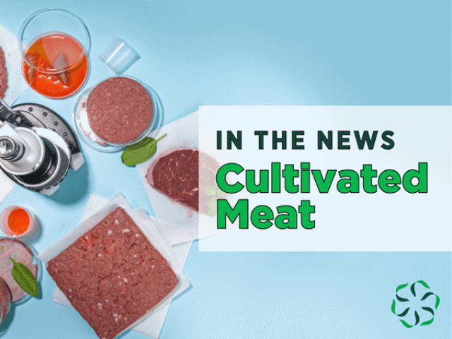 In the news – Cultivated Meat