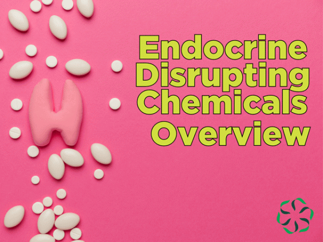 Endocrine Disrupting Chemicals – Overview