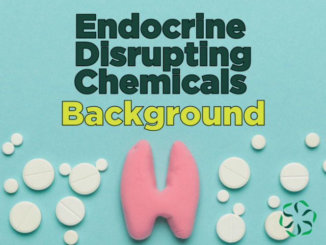 Endocrine Disrupting Chemicals – Background