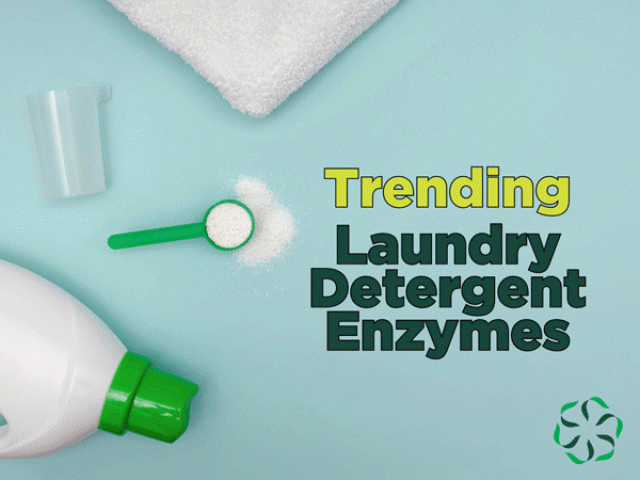 Trending – Laundry Detergent Enzymes