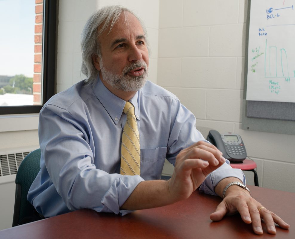 Norbert Kaminski, director of the center for ntegrated toxicology, discusses his research on Thursday June 20, 2013.