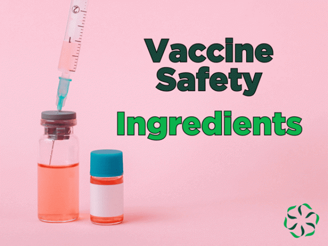 Vaccine Safety – Ingredients