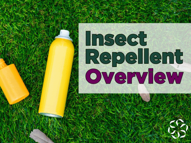 Insect Repellent – An Overview