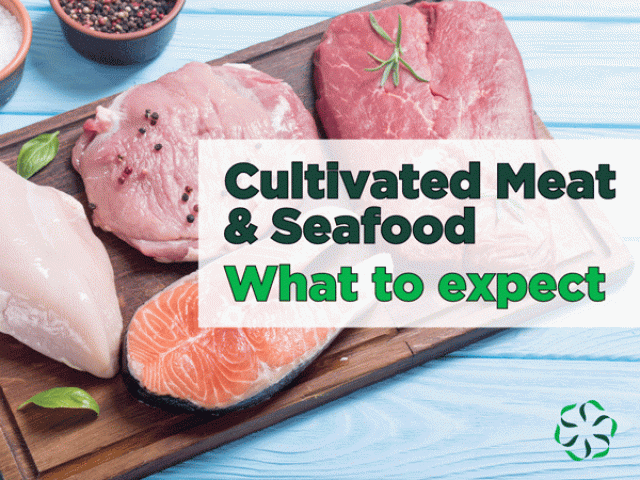 Cultivated Meat & Seafood – What to expect