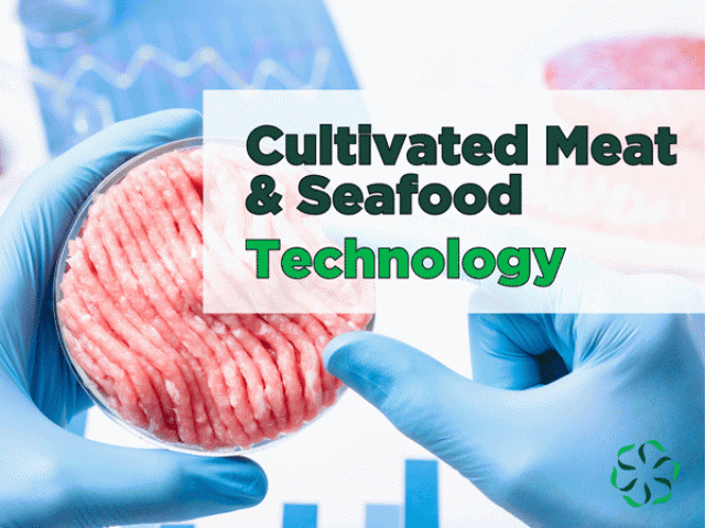 Cultivated Meat & Seafood – Technology