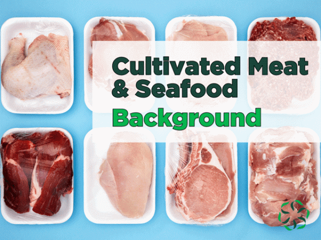 Cultivated Meat & Seafood – Background