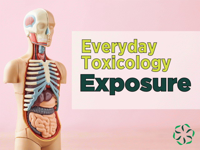 Everyday Toxicology – Exposure