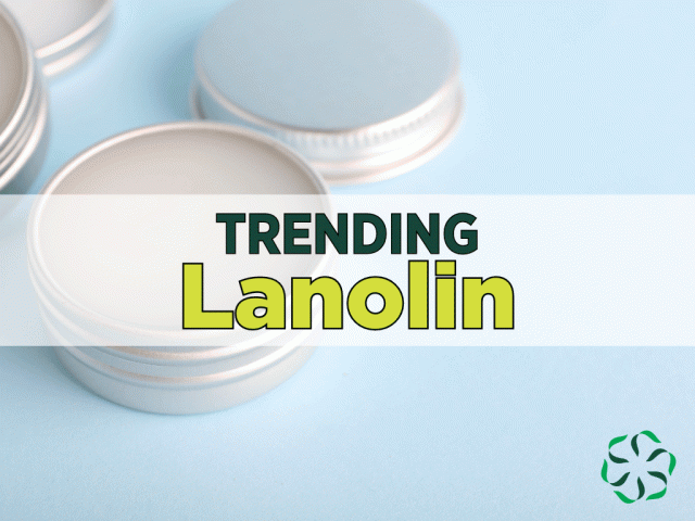 Trending – Lanolin