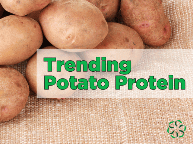 Trending – Potato Protein