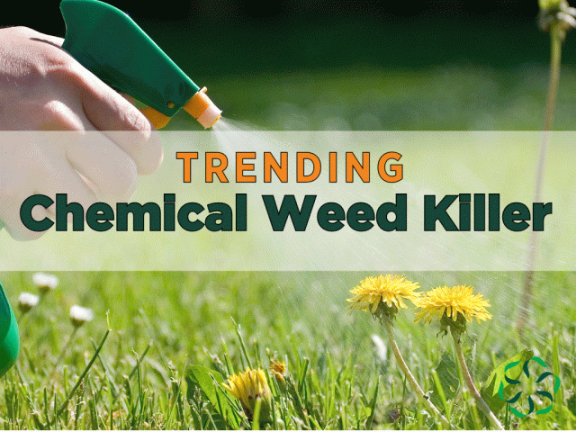 Chemical Weed Killer