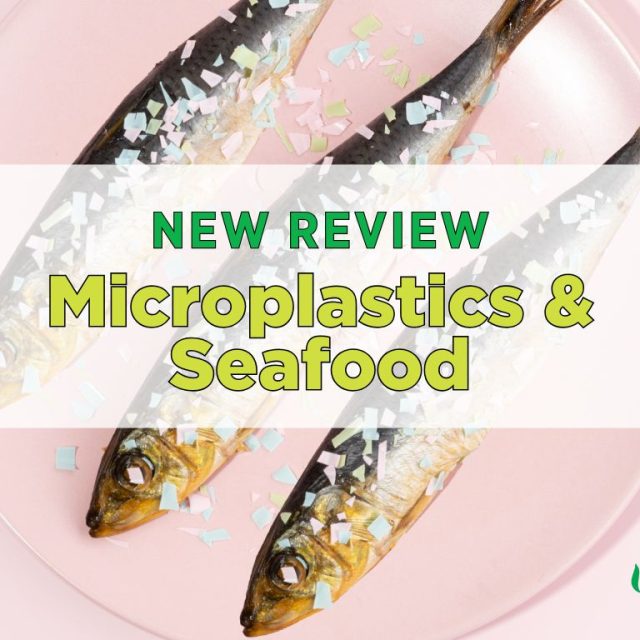 New review: Microplastics & seafood safety