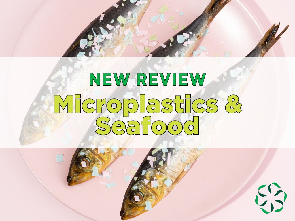 New review: Microplastics & seafood safety