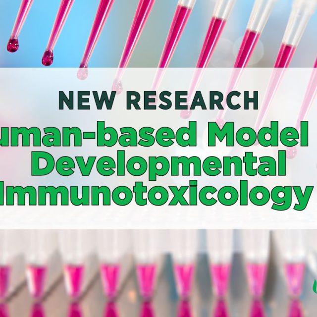 human-based model of developmental immunotoxicology