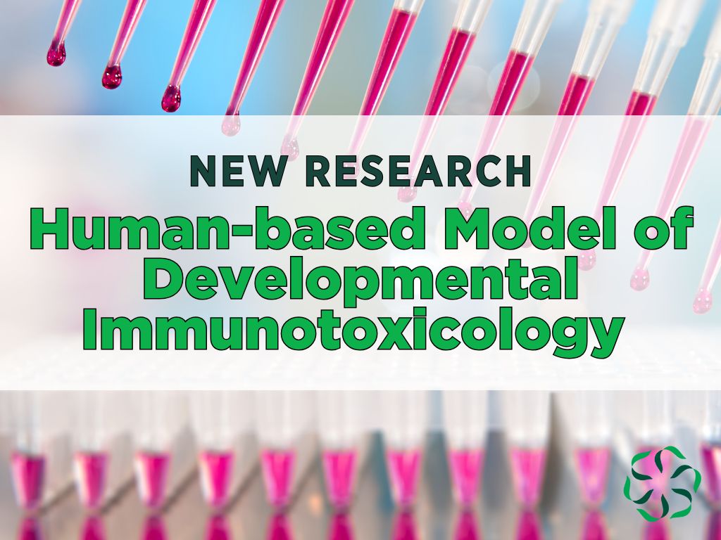 human-based model of developmental immunotoxicology