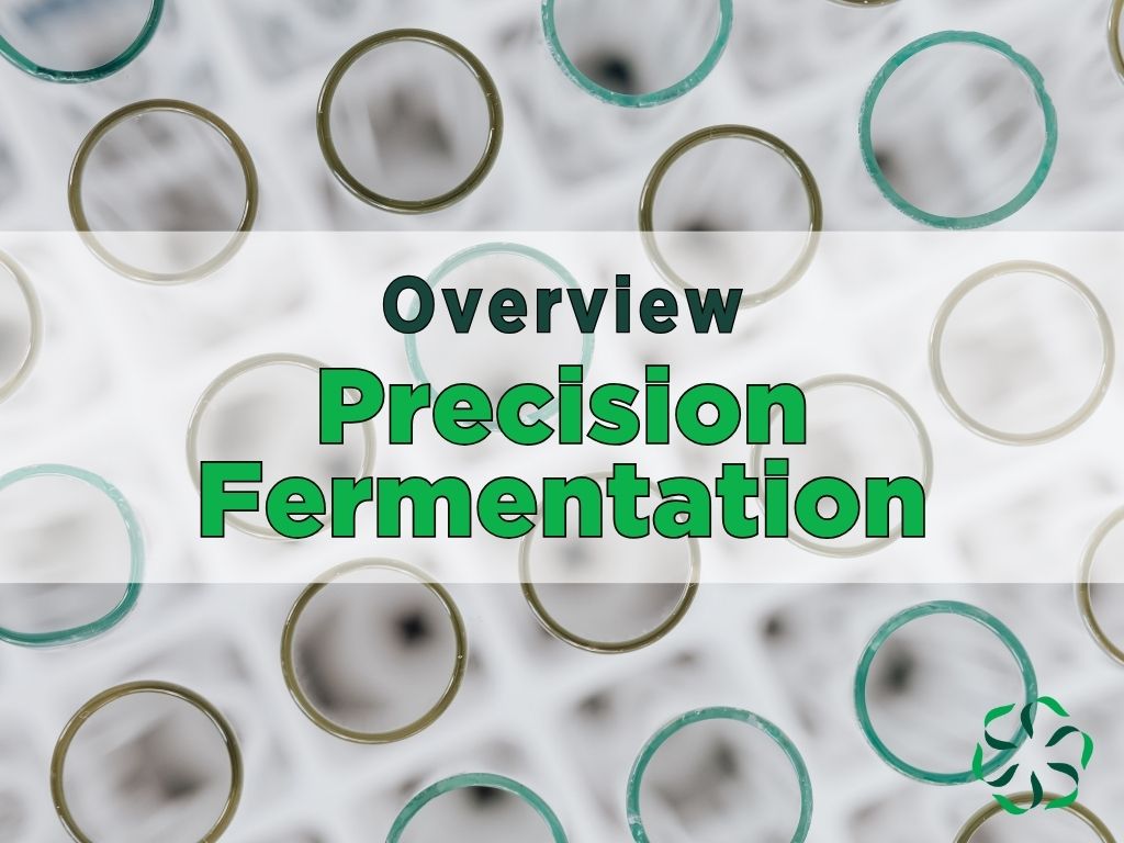 precision fermentation overview